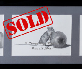 Original wildlife art and custom commission examples by artist Clare Van Daele