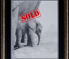 Original wildlife art and custom commission examples by artist Clare Van Daele