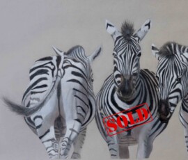 Original wildlife art and custom commission examples by artist Clare Van Daele