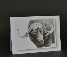 Original wildlife art and custom card examples by artist Clare Van Daele