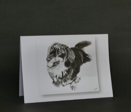 Original wildlife art and custom card examples by artist Clare Van Daele