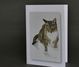 Original wildlife art and custom card examples by artist Clare Van Daele