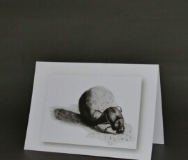 Original wildlife art and custom card examples by artist Clare Van Daele