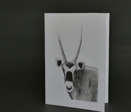 Original wildlife art and custom card examples by artist Clare Van Daele