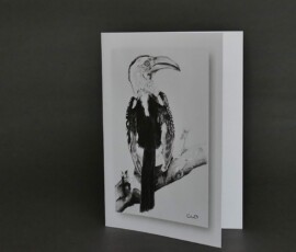 Original wildlife art and custom card examples by artist Clare Van Daele