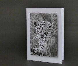 Original wildlife art and custom card examples by artist Clare Van Daele