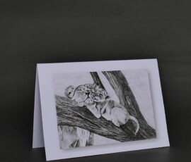 Original wildlife art and custom card examples by artist Clare Van Daele