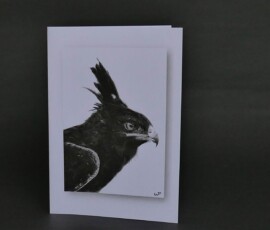 Original wildlife art and custom card examples by artist Clare Van Daele