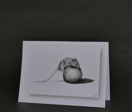 Original wildlife art and custom card examples by artist Clare Van Daele