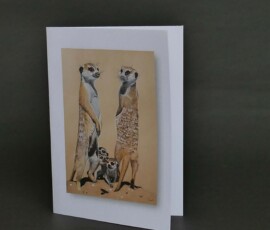 Original wildlife art and custom card examples by artist Clare Van Daele