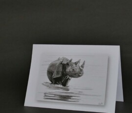 Original wildlife art and custom card examples by artist Clare Van Daele