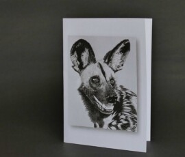 Original wildlife art and custom card examples by artist Clare Van Daele
