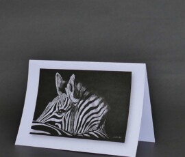 Original wildlife art and custom card examples by artist Clare Van Daele