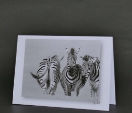 Original wildlife art and custom card examples by artist Clare Van Daele