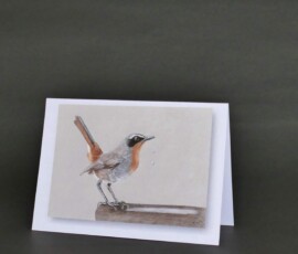 Original wildlife art and custom card examples by artist Clare Van Daele