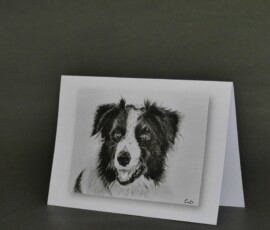 Original wildlife art and custom card examples by artist Clare Van Daele