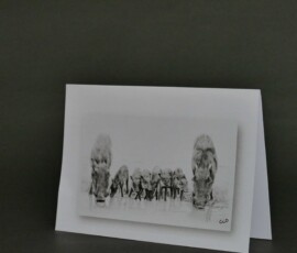 Original wildlife art and custom card examples by artist Clare Van Daele