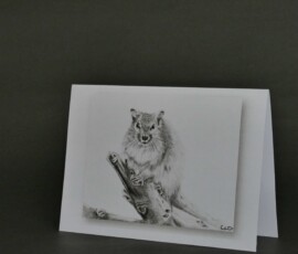 Original wildlife art and custom card examples by artist Clare Van Daele