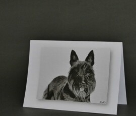 Original wildlife art and custom card examples by artist Clare Van Daele