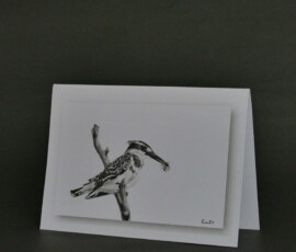 Original wildlife art and custom card examples by artist Clare Van Daele