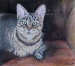 Original pet art examples by artist Clare Van Daele