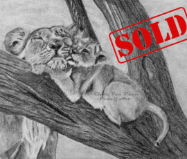 Original wildlife art and custom commission examples by artist Clare Van Daele