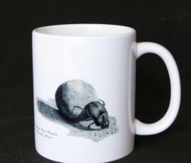 Original wildlife art and custom mug examples by artist Clare Van Daele