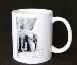 Original wildlife art and custom mug examples by artist Clare Van Daele