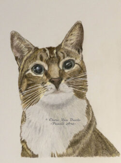 Original pet art examples by artist Clare Van Daele