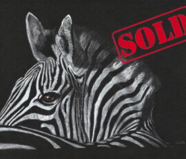 Original wildlife art and custom commission examples by artist Clare Van Daele